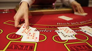 greyhound tips Hamari lobby soch